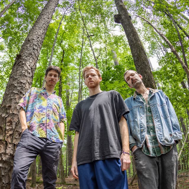 Mellow Swells artist profile image