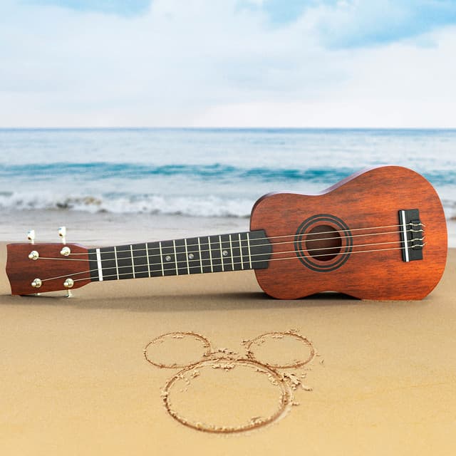 Disney Ukulele artist profile image
