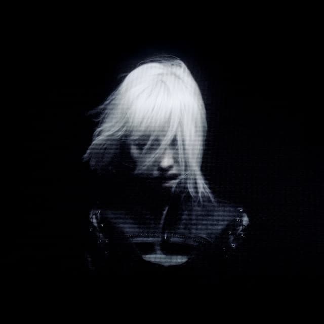 daine artist profile image