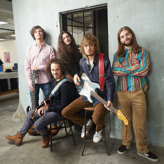 Dogs In A Pile's artist profile image