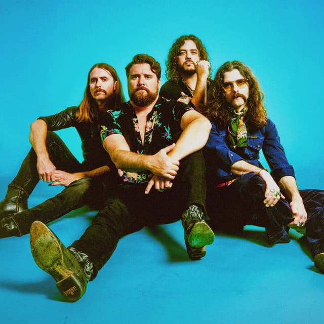 The Sheepdogs artist profile