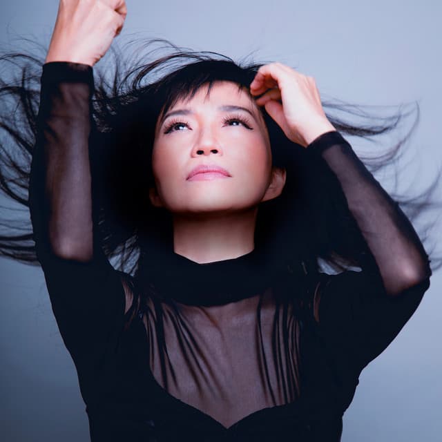 Keiko Matsui artist profile image