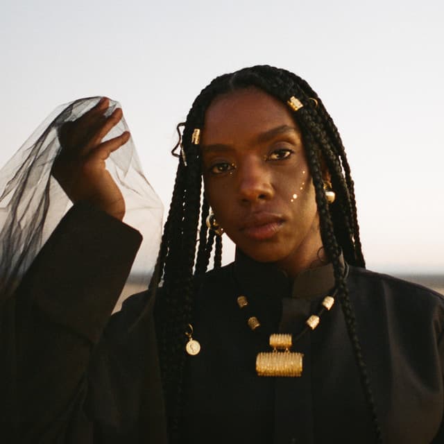 Dua Saleh artist profile