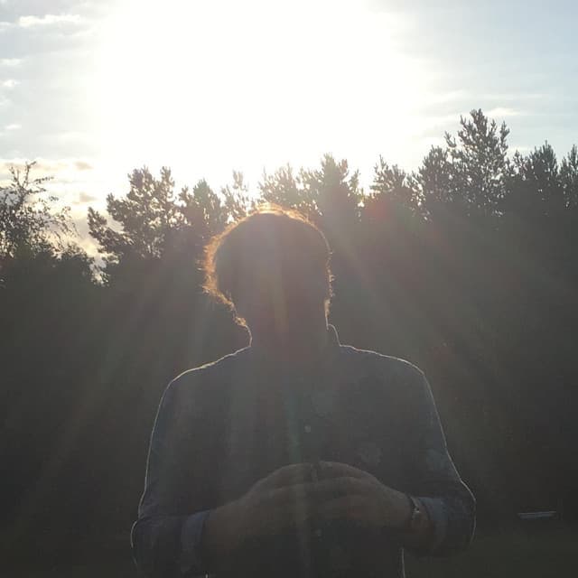 The Field artist profile image