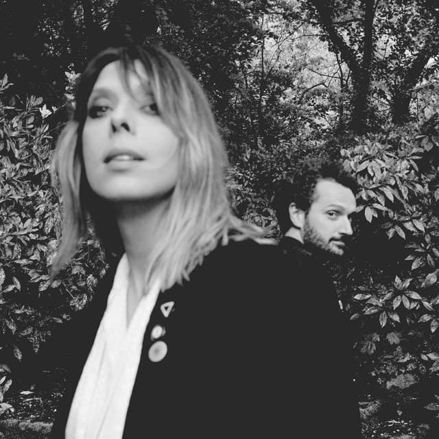 Cats On Trees artist profile image