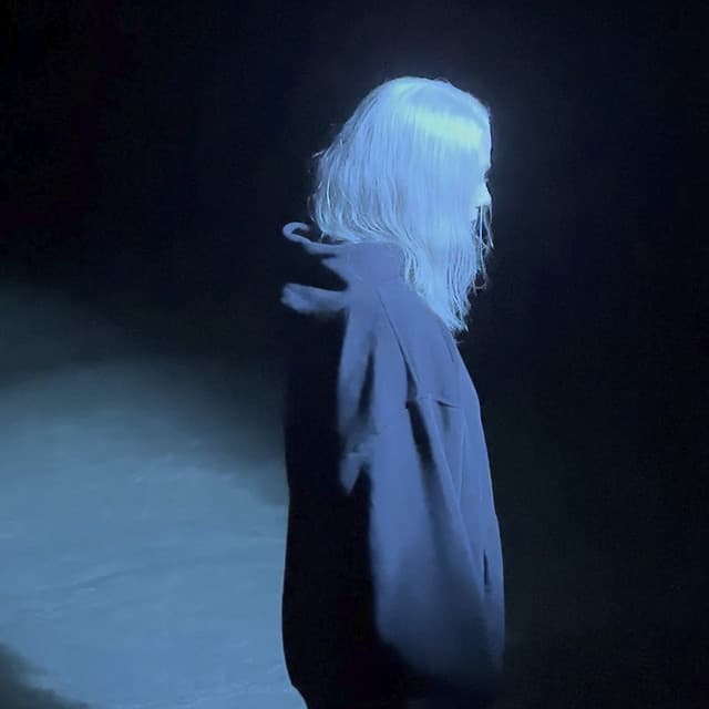 Phoebe Bridgers artist profile image