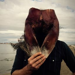 Lord Buffalo's artist profile image