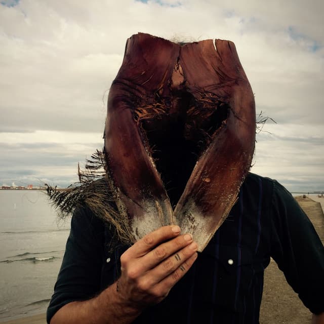 Lord Buffalo's artist profile image