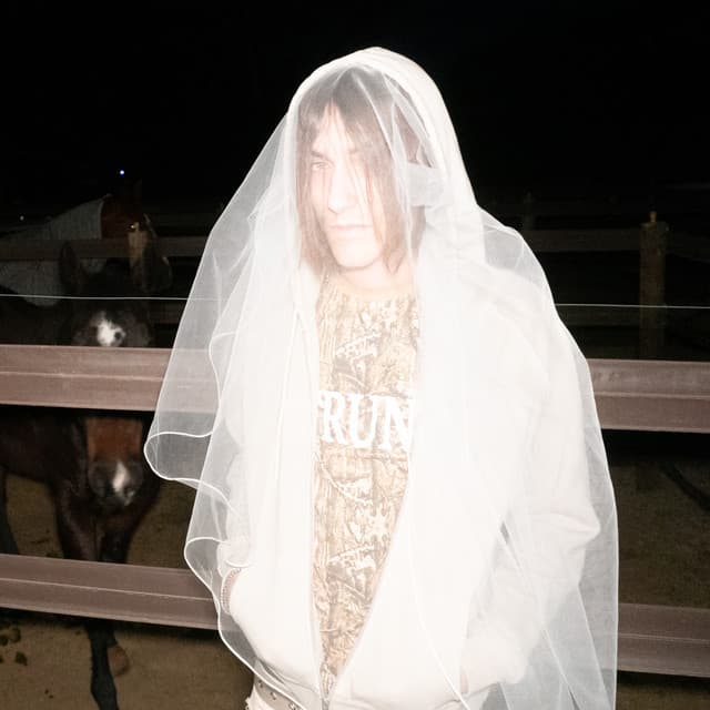 aldn artist profile image