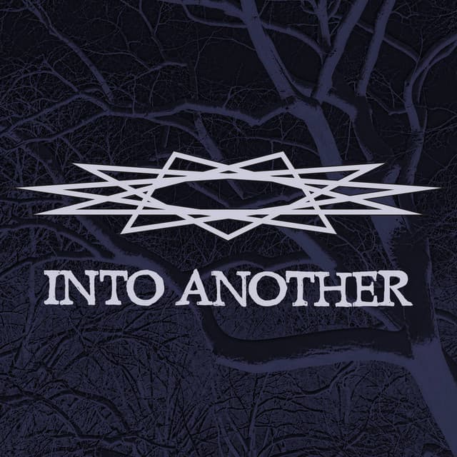 Into Another artist profile image