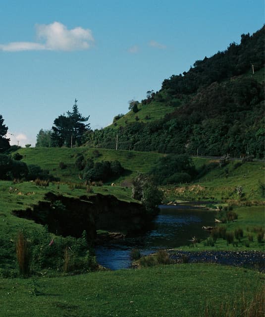 HEAVY CHEST artist profile image