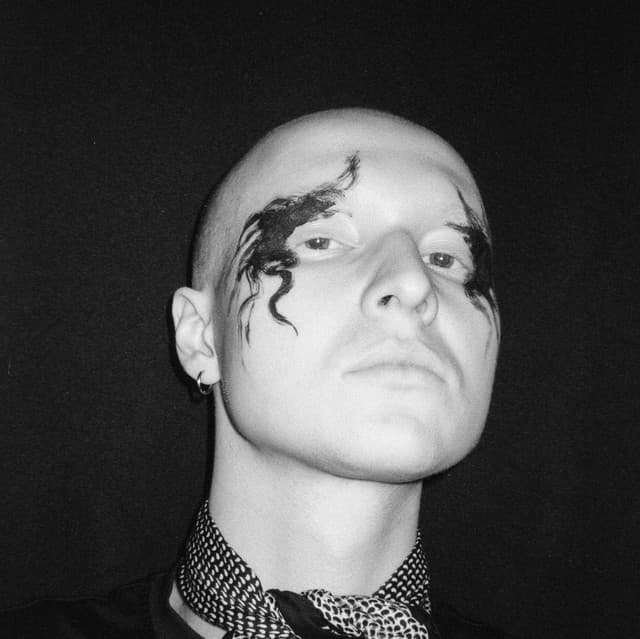 VEIVERIS artist profile image