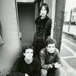 Blonde Redhead's artist profile image
