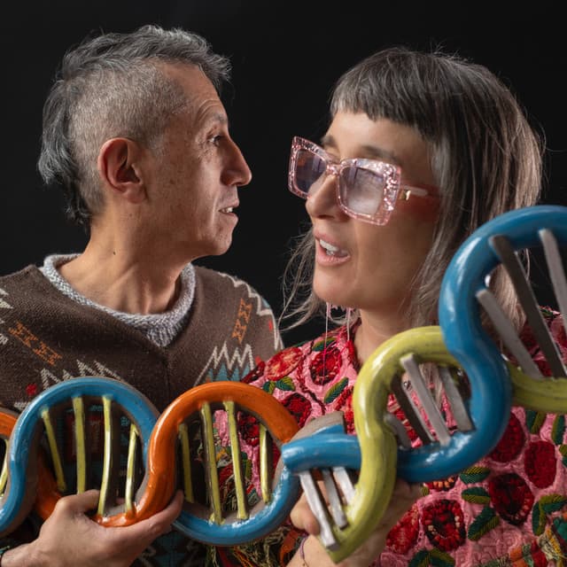Aterciopelados artist profile image