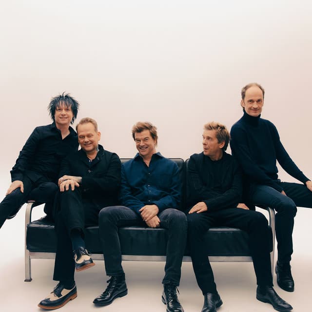 Die Toten Hosen's artist profile image