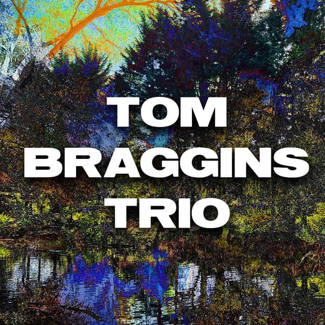 Tom Braggins Trio artist profile image