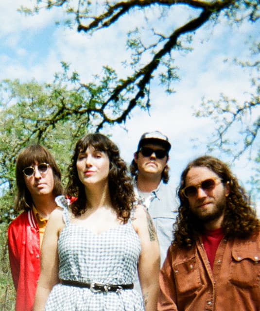 The Shivas artist profile image