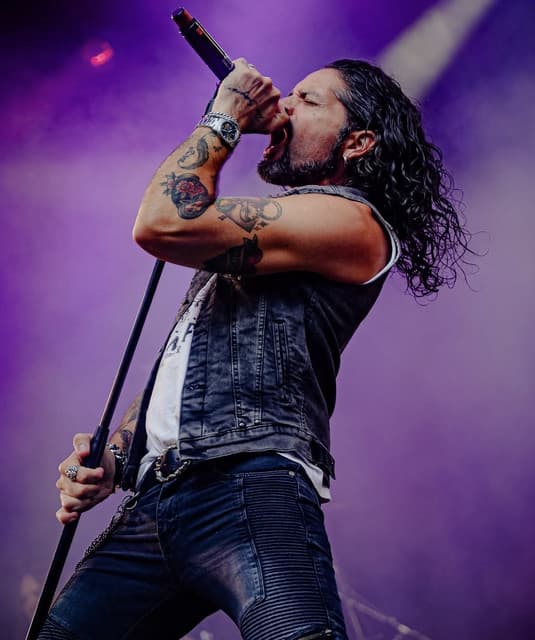 Ronnie Romero's artist profile image