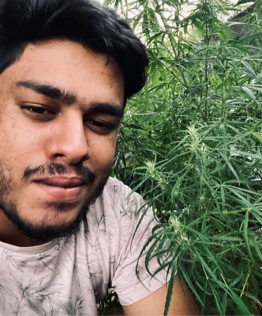 Ramindu artist profile image