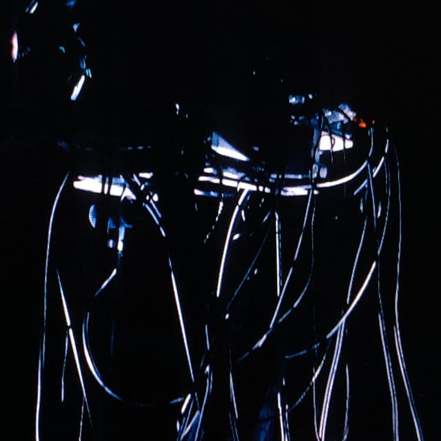 Odonis Odonis artist profile image