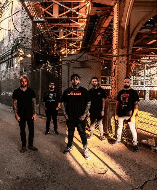 Hive artist profile image