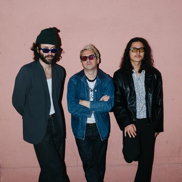 The Technicolors artist profile