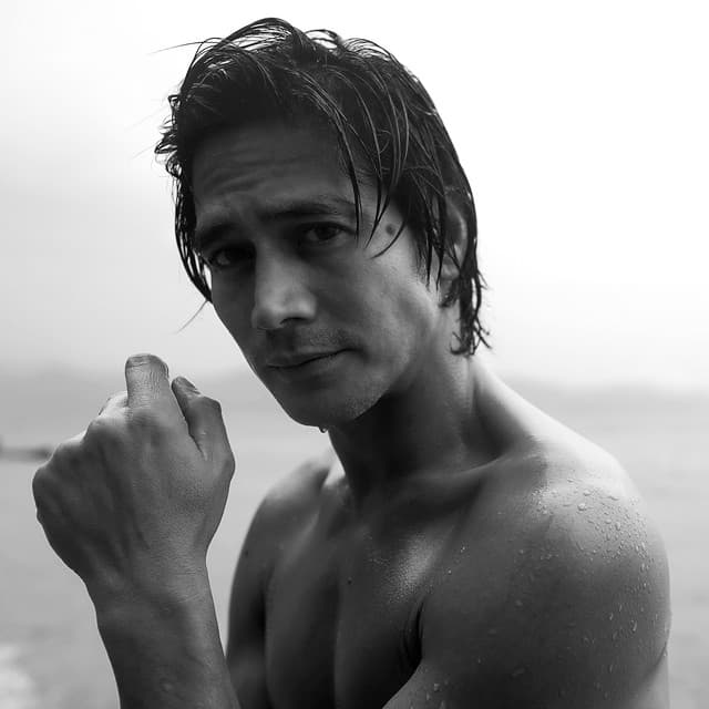 Piolo Pascual artist profile image