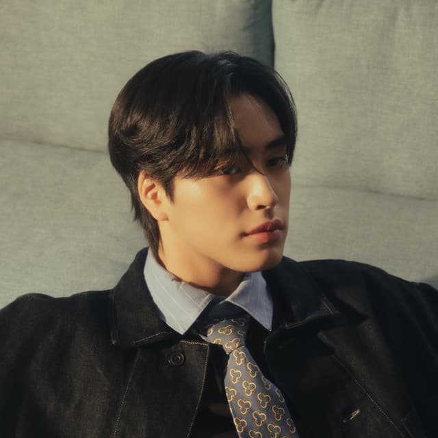 GEMINI artist profile image