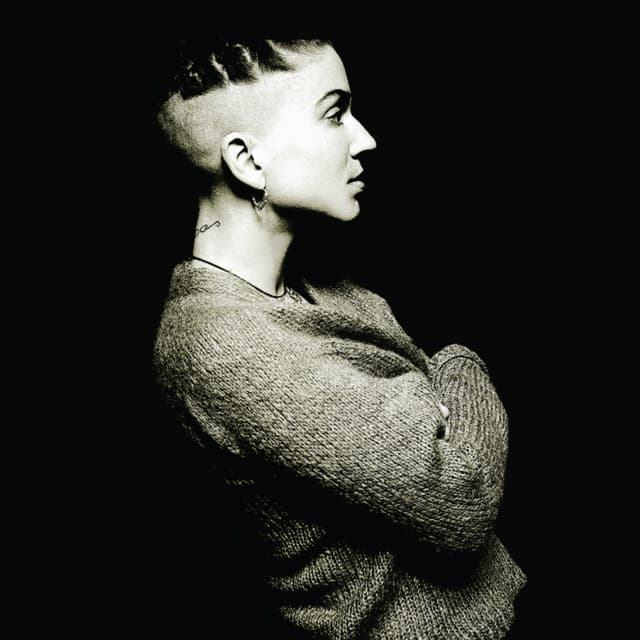 Ani DiFranco artist profile image