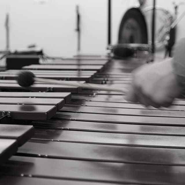 The Lullaby Guys artist profile image