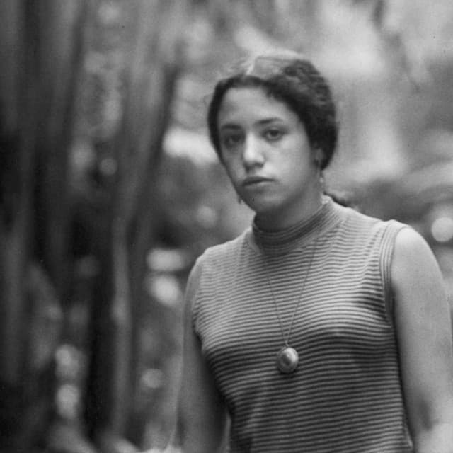 Janis Ian's artist profile image