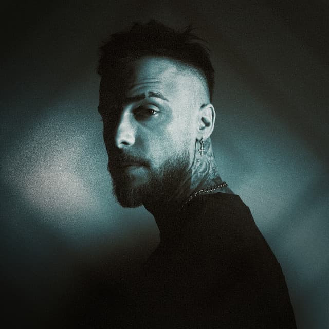 Diogo Piçarra artist profile image