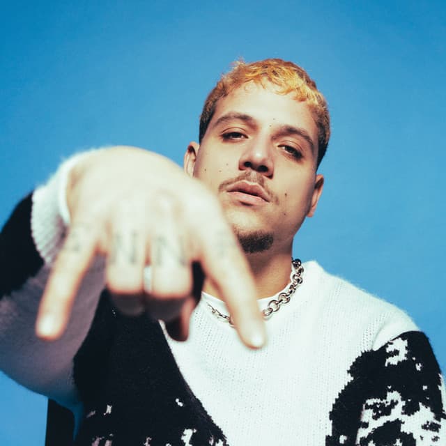 PLK's artist profile image