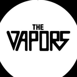The Vapors's artist profile image