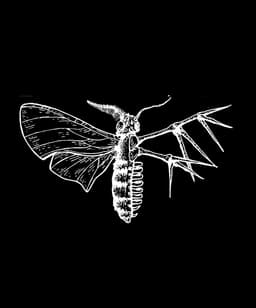 Holding Absence's artist profile image