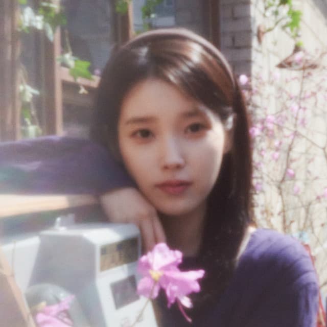 IU artist profile image