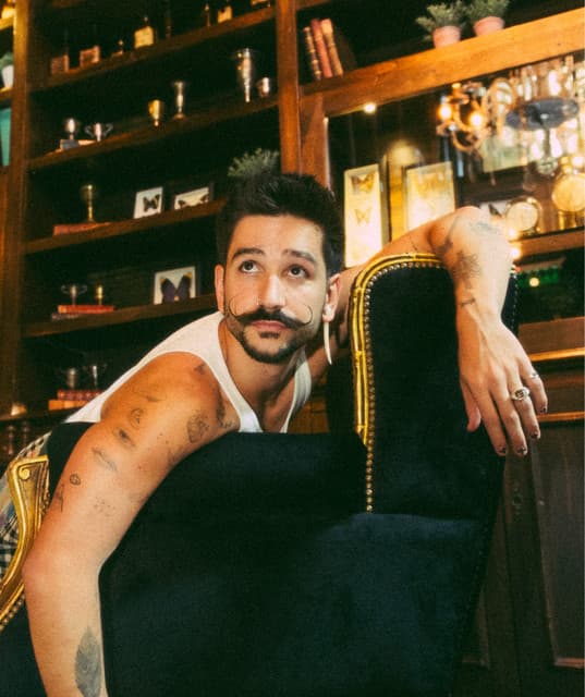 Camilo artist profile image