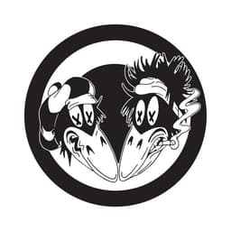 The Black Crowes's artist profile image