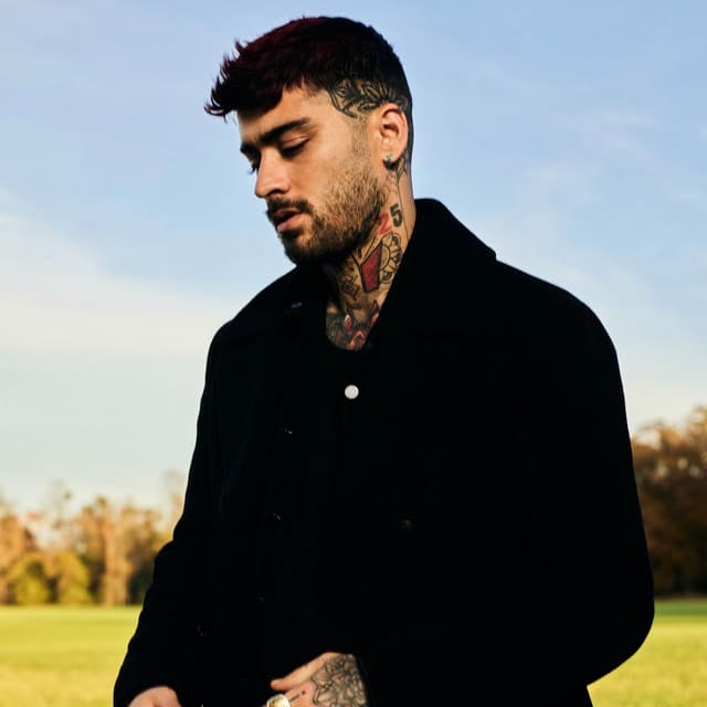 ZAYN's artist profile image