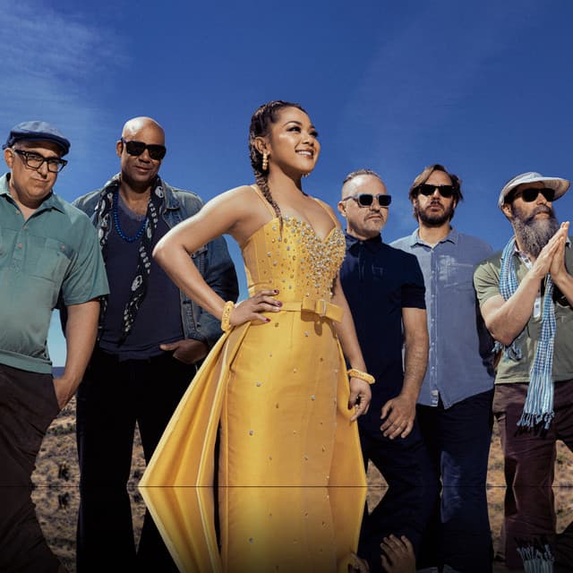 Dengue Fever's artist profile image