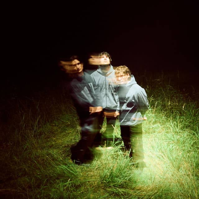 little image artist profile image