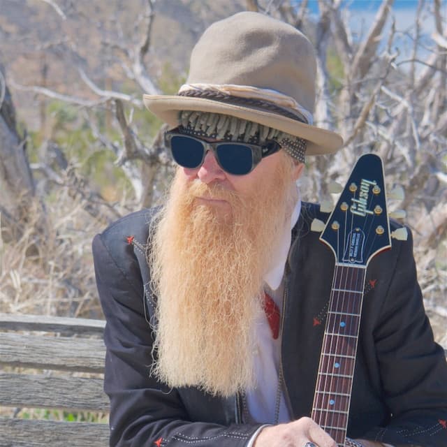 Billy F Gibbons artist profile image