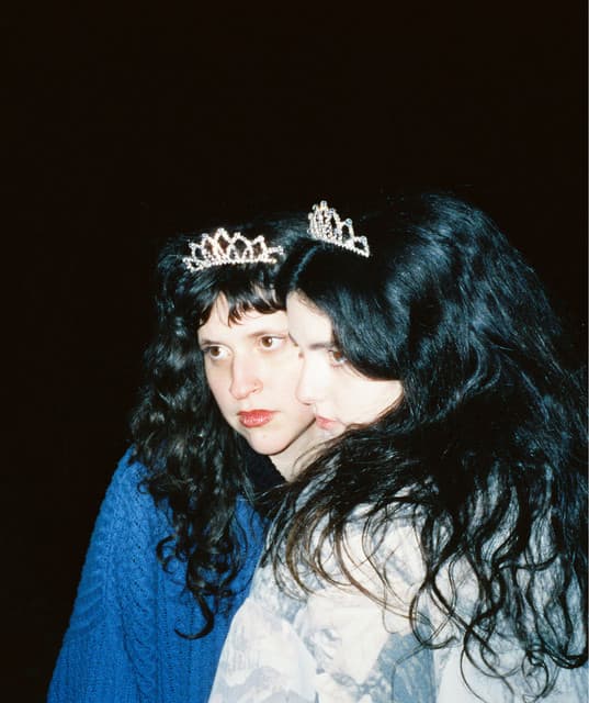 Venus & the Flytraps's artist profile image
