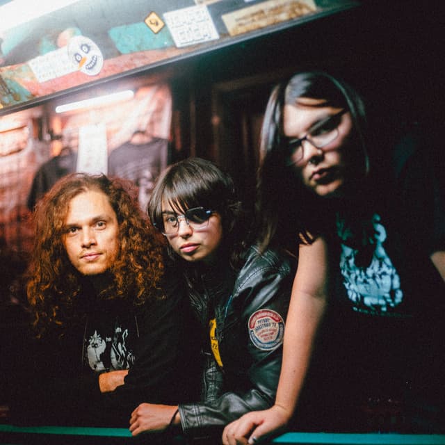 Palomino Blond artist profile image