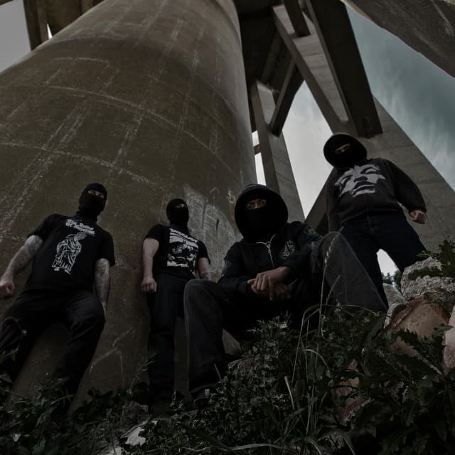 Dragged Into Sunlight's artist profile image
