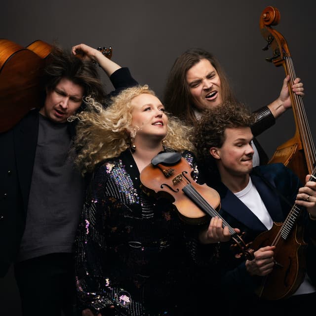Curly Strings artist profile image