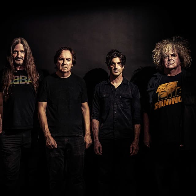 Melvins artist profile