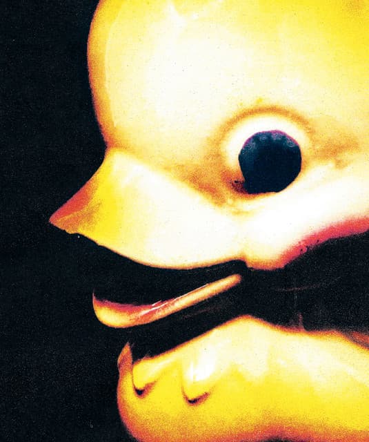 Fleshwater's artist profile image