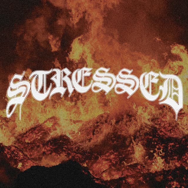 Stressed artist profile image
