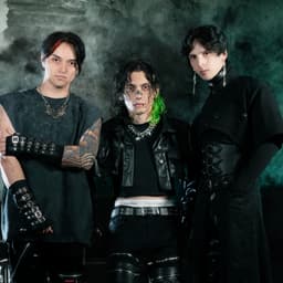 TSS's artist profile image